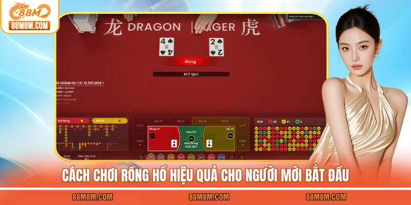 Cách chơi Rồng Hổ hiệu quả cho người mới bắt đầu