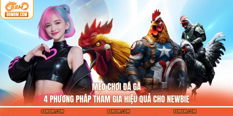 Mẹo Chơi Đá Gà - 4 Phương Pháp Tham Gia Hiệu Quả Cho Newbie